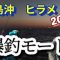 ヒラメ釣り 今日も爆釣止まりません 鹿島 大春丸